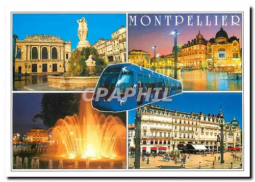 Cartes postales moderne Capitale du Languedoc
