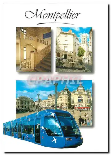 Cartes postales moderne Capitale du Languedoc