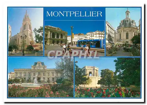 Cartes postales moderne Capitale du Languedoc