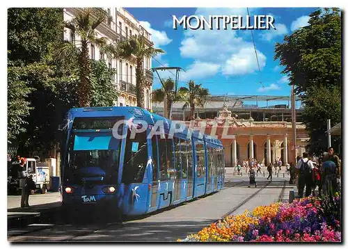 Moderne Karte Le tramway de l'agglomeration de Montpellier