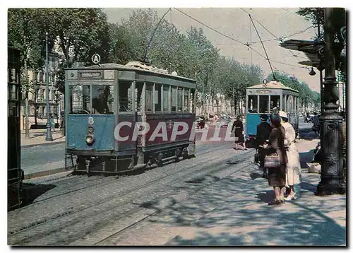 Cartes postales moderne Tramways de Versailles  avenue de Saint-Cloud en 1950