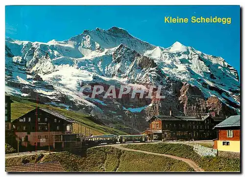 Cartes postales moderne Kleine Scheldegg Jungfrau