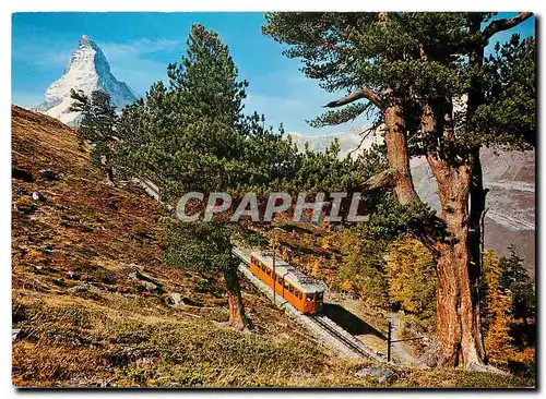 Cartes postales moderne R�gion de Zermatt sur le chemin Gornergrat