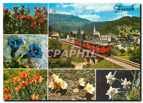 Cartes postales moderne Fiesch mit Furka Oberalp Bahn