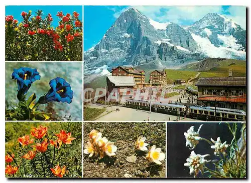 Cartes postales moderne Kleine Scheidegg mit Eiger und Monch