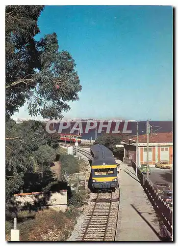 Cartes postales moderne Autorail SITP Cannes Ranguin en gare de la Bocca