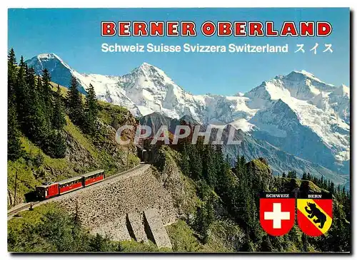 Cartes postales moderne Switzerland Berner Oberland