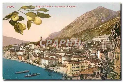 Cartes postales moderne Lago di Garda Limone con Limoneti