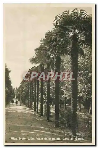 Moderne Karte Riva Hotel Lido palme Lago di Garda