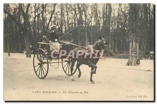 Cartes postales Paris Mondain Nos elegantes au bois Cheval Taxi Automobile TOP
