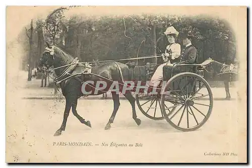 Cartes postales Paris Mondain Cheval Taxi TOP