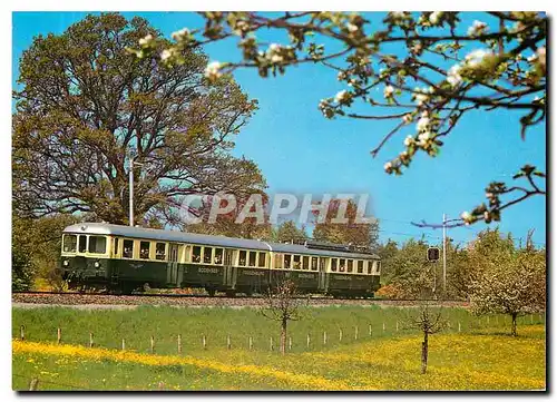 Cartes postales moderne Bodensee Toggenburg Bahn Bluestfahrt im Thurgau