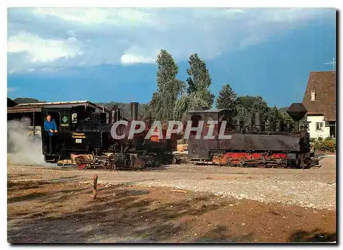 Cartes postales moderne Schinznacher Baumschulbahn Hermann Zulauf Damplokomotiven Pinus und Taxus