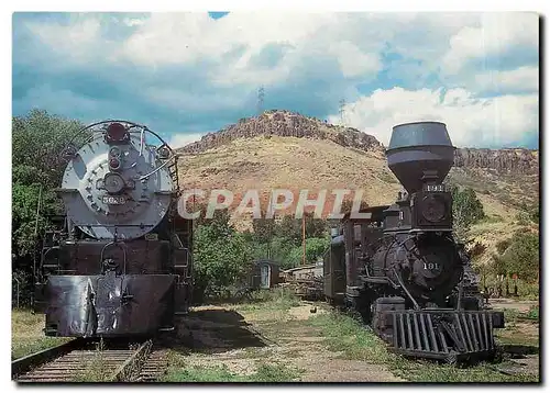 Cartes postales moderne Colorado Railroad Museum Standard and narrow gauge steam locomotives