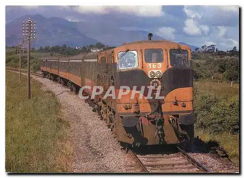 Cartes postales moderne Locomotive 163 near Killarney