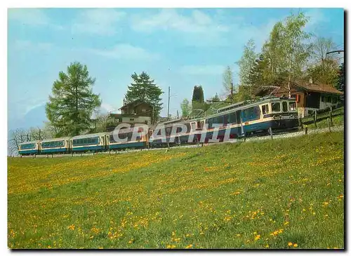 Cartes postales moderne Panoramic Express Mob Montreux Chateau d'Oex Gstaad Zweisimmen Lenk