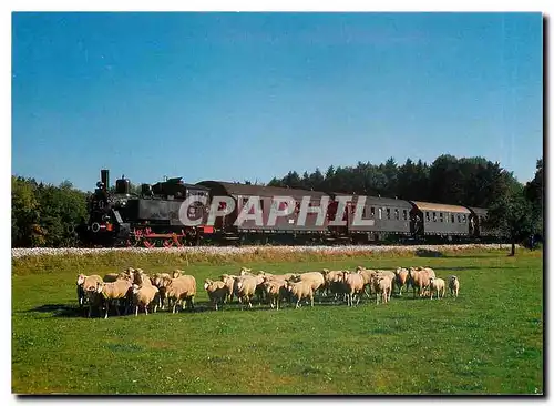 Cartes postales moderne Locomotive mit Tender 98 812