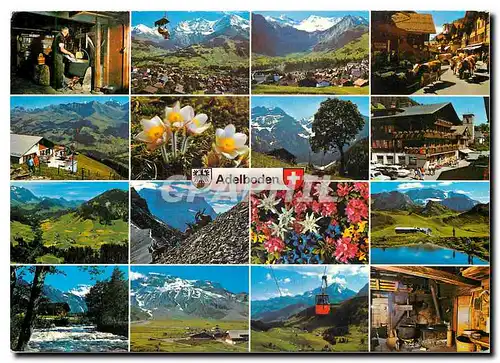 Cartes postales moderne Adelboden Berner Oberland Schweiz