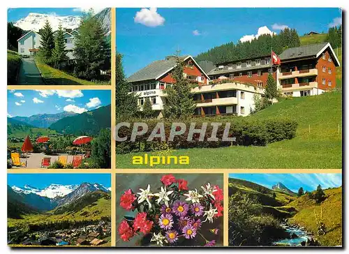 Cartes postales moderne Alpina Familienhotel Adelboden