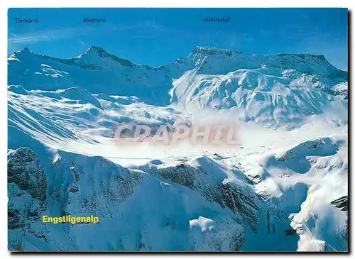 Cartes postales moderne Engstligenalp Adelboden