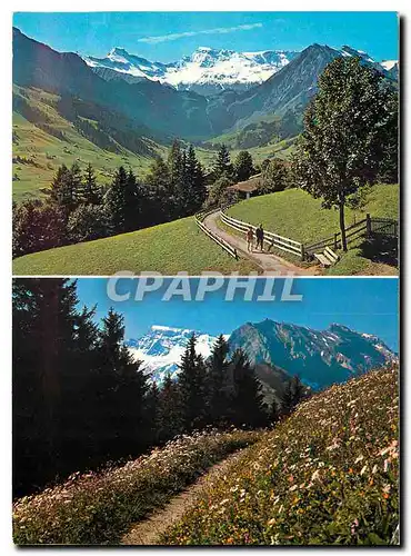 Cartes postales moderne Adelboden Berner Oberland