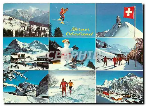 Cartes postales moderne Berner Oberland