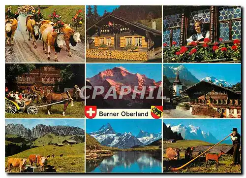 Cartes postales moderne Berner Oberland