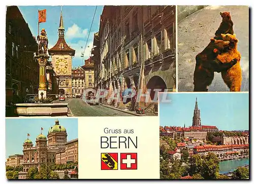 Cartes postales moderne Gruss aus Bern Ours