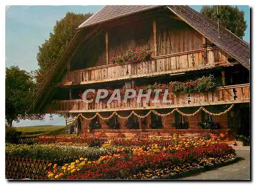 Cartes postales moderne Berner Bauernhaus