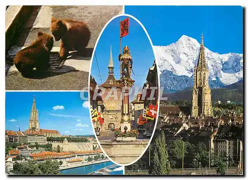 Cartes postales moderne Berne Fontaine Zahringer et tour Zeitglocken Ours