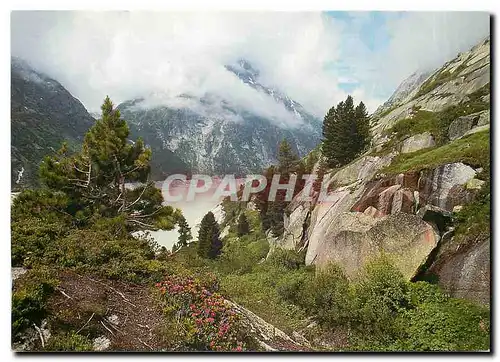 Moderne Karte Uferpartie am Grimselsee