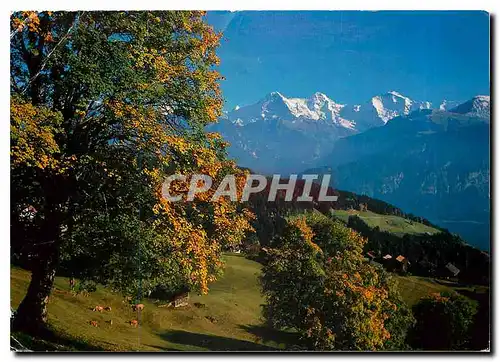 Cartes postales moderne Beatenberg Eiger Monch Jungfrau