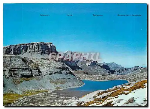 Cartes postales moderne Feiseshorn Lohner Daubense