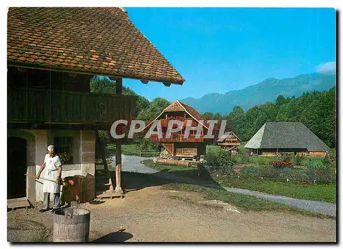 Cartes postales moderne Ballenberg Schweiz Freilichtmuseum