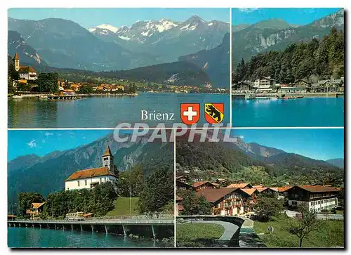 Cartes postales moderne Switzerland Brienz Berner Oberland