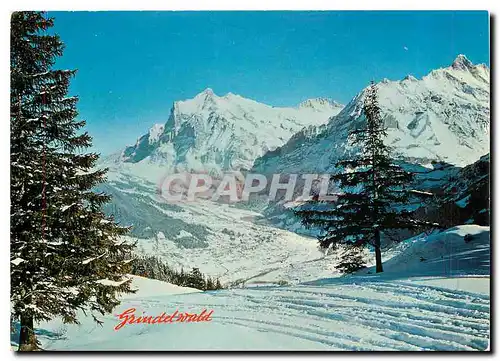 Cartes postales moderne Grindelwald Switzerland Wetterhorn
