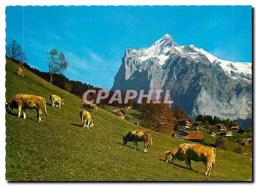 Moderne Karte Grindelwald Wetterhorn