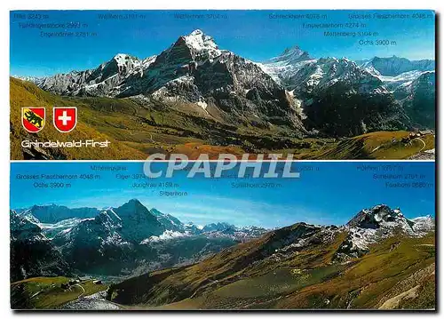Cartes postales moderne Switzerland Grindelwald First Berner Oberland