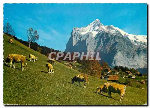 Moderne Karte Grindelwald Wetterhorn