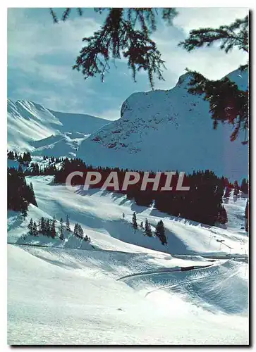 Cartes postales moderne Gantrischgebiet