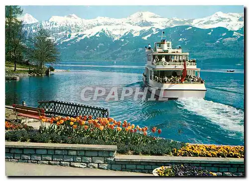 Cartes postales moderne Thunersee Gunten Monch Jungfrau Schwalmern Latreyenfirst