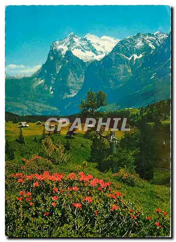 Cartes postales moderne Grindelwald Wetterhorn