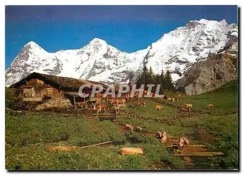 Moderne Karte Murren Oberberghutte Eiger Monch Jungfrau