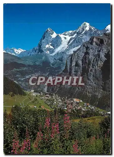 Cartes postales moderne Murren 1650 m mit Eiger und Monch Weidenroslein