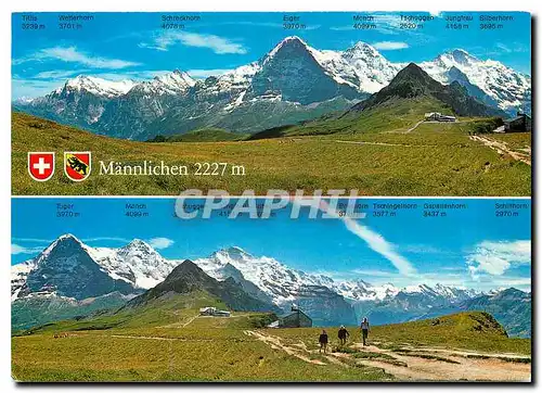 Cartes postales moderne Mannlichen Switzerland Berner Oberland