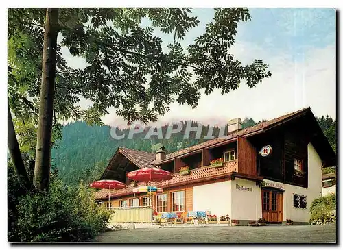 Cartes postales moderne Hotel Alpina Lenk