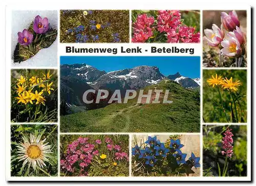 Cartes postales moderne Blumenweg Lenk Betelberg