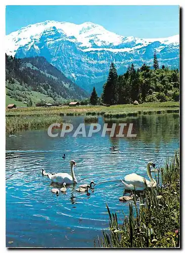 Moderne Karte Lenk Berner Oberland Lenkersee mit Wildstrubel