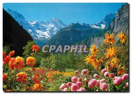 Cartes postales moderne Lauterbrunnental Breithorn Berner Oberland