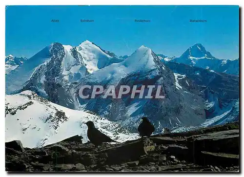 Cartes postales moderne Blick vom Wildstrubel